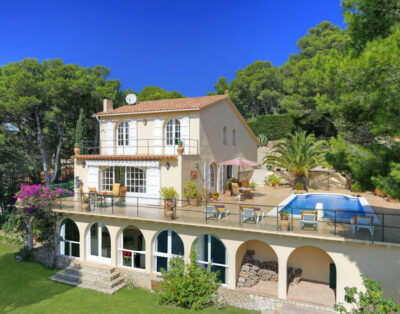 Villa Cat
