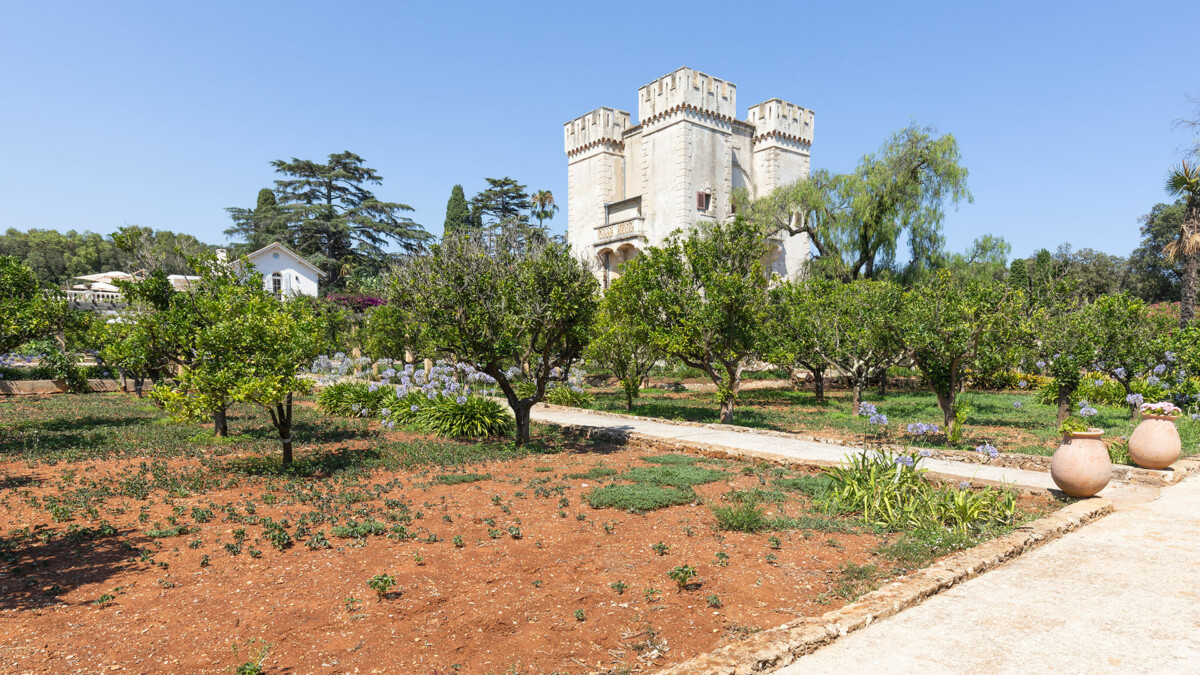 Le Grand Jardin
