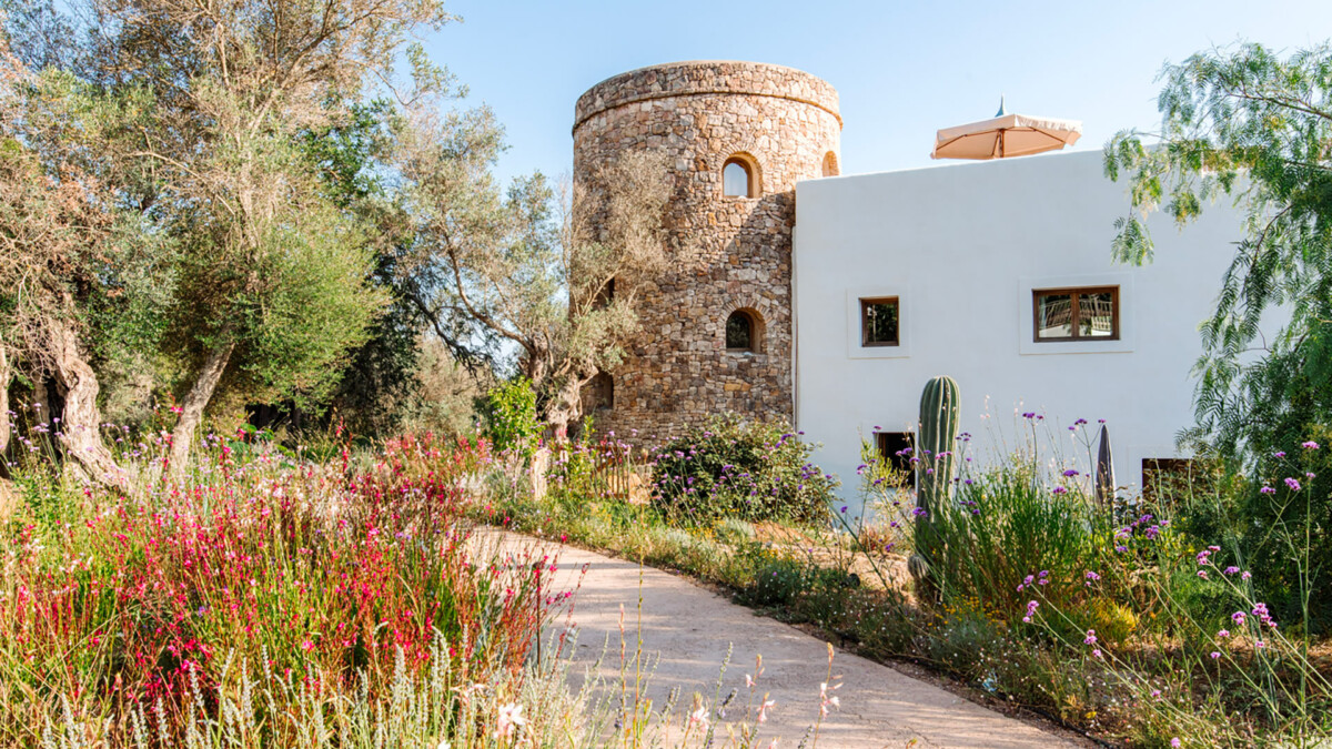 Finca Delicadeza